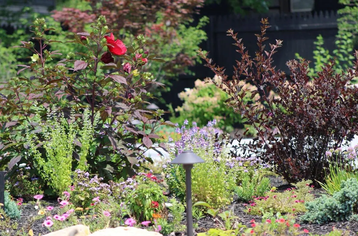Beautifully designed landscape showcasing vibrant plants and hardscapes in Northwest Indiana.
