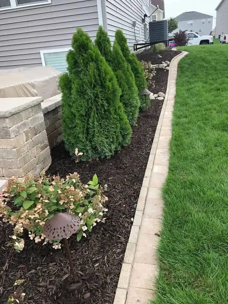 Lush green shrubs and flowers line a landscaped pathway beside a home in Northwest Indiana.