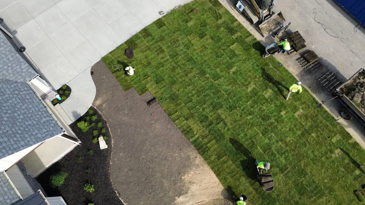 Elegant landscape installation showcasing a harmonious blend of nature and design.